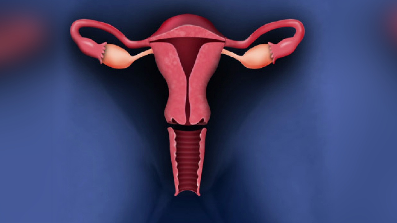 Total Laparoscopic Hysterectomy Shewale Hospital And Ajanta Fertility